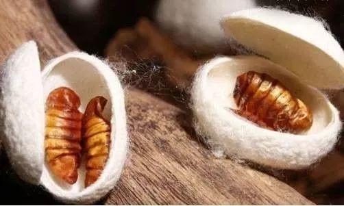 丝棉被脏了怎么洗，丝棉被怎么洗（还有什么理由不入一条呢）