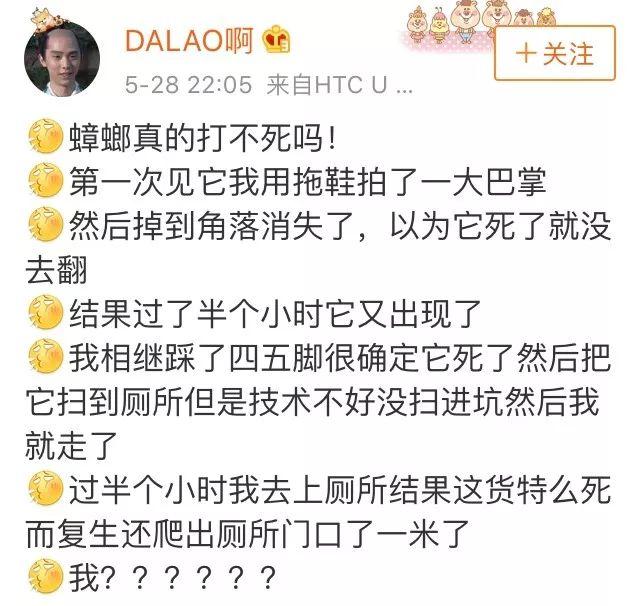 会飞的蟑螂是怀孕了吗，蟑螂会飞嘛（终于和这种让你半夜失声尖叫的生物说债见了）