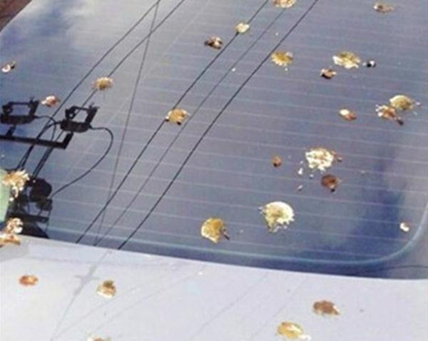 洗车一般要多久，洗车打蜡一般耗时多长（汽车每天洗和每2个月洗一次）