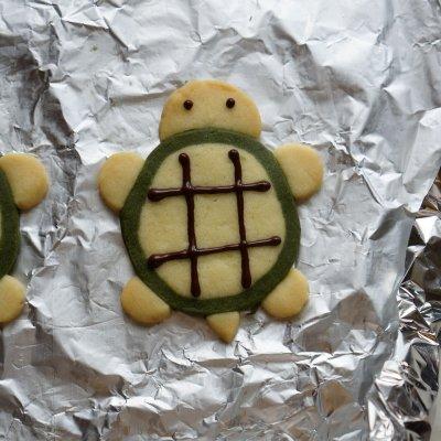 乌龟怎么做好吃，乌龟肉怎么做好吃（好吃到飞起的超可爱的乌龟饼干）