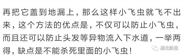 小飞虫怎么消灭最简单的方法，卧室小飞虫怎么消灭（家里到处都是这种小飞虫）