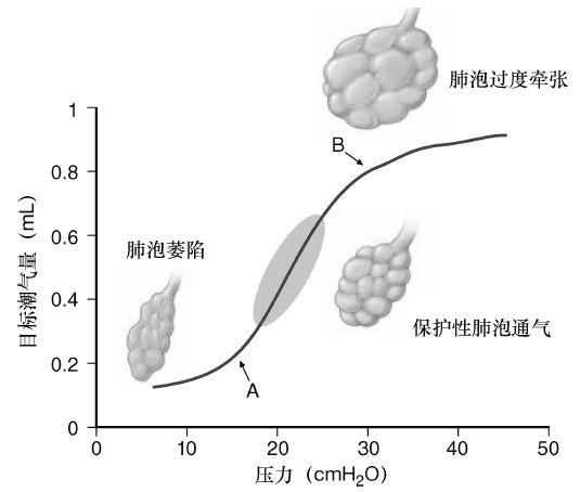 呼吸机peep，呼吸机的PEEP是什么意思（搞懂机械通气技术<上篇>）