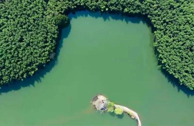 良渚古城遗址位于浙江省哪里，良渚古城遗址在浙江省哪（良渚古城遗址公园正式开放）