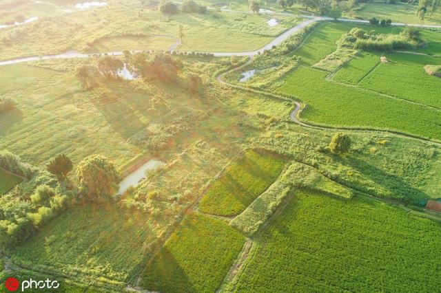 良渚古城遗址位于浙江省哪里，良渚古城遗址在浙江省哪（良渚古城遗址公园正式开放）