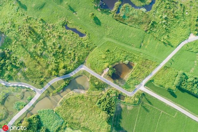 良渚古城遗址位于浙江省哪里，良渚古城遗址在浙江省哪（良渚古城遗址公园正式开放）