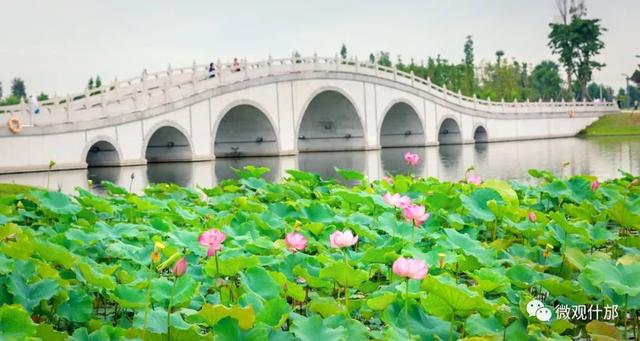 夏天的景物有哪些，夏天有哪些景色和景物（这份独属于夏季的风景）