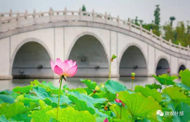 夏天的景物有哪些，夏天有哪些景色和景物（这份独属于夏季的风景）