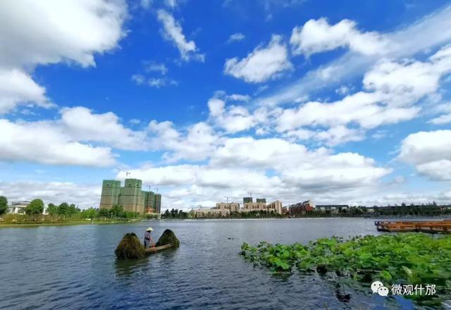 夏天的景物有哪些，夏天有哪些景色和景物（这份独属于夏季的风景）