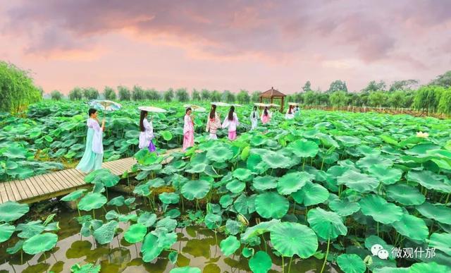 夏天的景物有哪些，夏天代表性的景物有哪些（这份独属于夏季的风景）