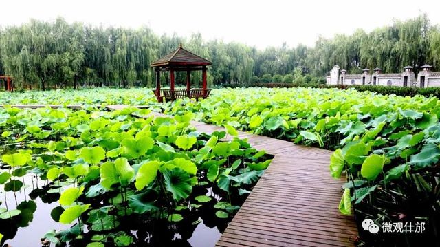 夏天的景物有哪些，夏天有哪些景色和景物（这份独属于夏季的风景）