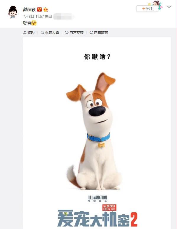 赵丽颖微博终于营业了！看到冯绍峰的评论，网友集体吐槽