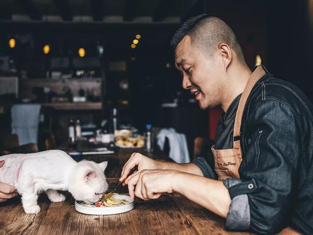 宋晓军的微博，宋晓军简历及民族（你能想象这个世界没有猫吗）