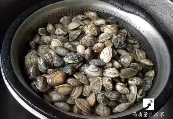 花甲怎么清洗，花甲怎么清洗才干净（加上这个摇一摇，让它自动吐沙）