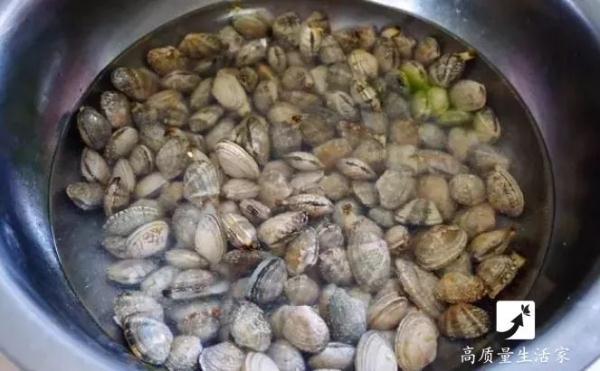 花甲怎么清洗，花甲怎么清洗才干净（加上这个摇一摇，让它自动吐沙）