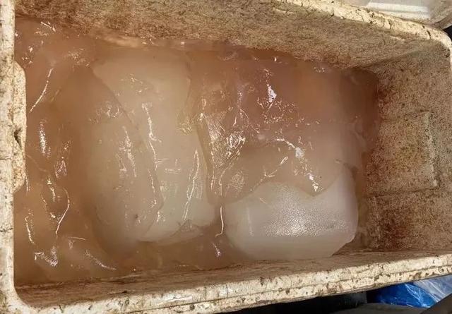 海蜇头怎么处理，海蜇头凉拌太硬了处理方法（这种神秘的海产品随着入伏走来了~）