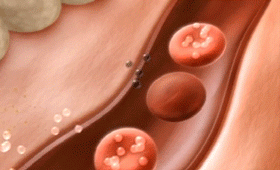 背薄一寸下一句是什么，背薄一寸下一句话怎么说（千万别做“背厚”的人）