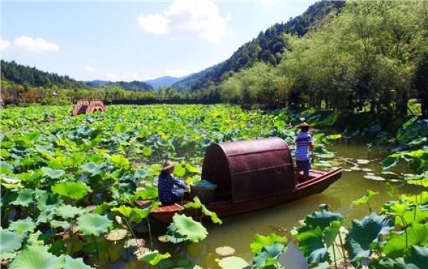 大暑是什么意思，大暑是不是最热的时候（立秋是什么意思）