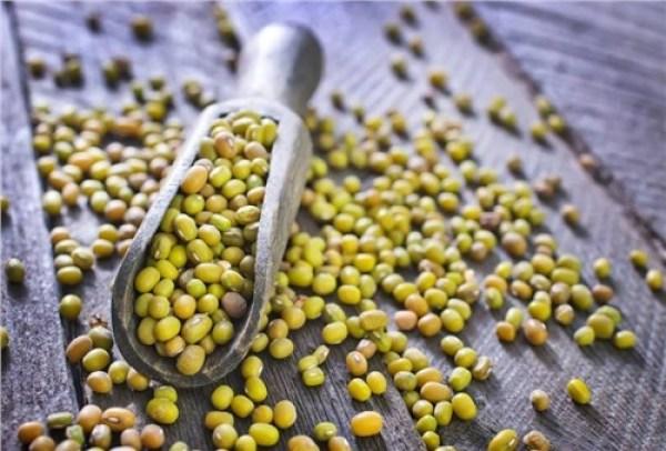 大暑是什么意思，大暑是不是最热的时候（立秋是什么意思）