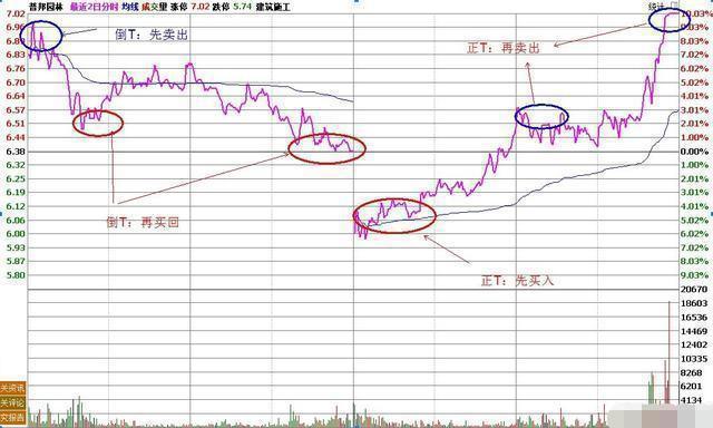 1手是多少股（长期拿一只股坚持每天做T）