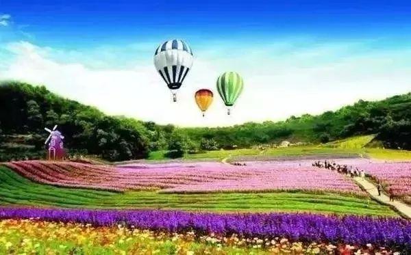 泸州纳溪有什么好玩的地方，泸州纳溪哪些地方好玩（牛！纳溪这个村叫响全国）