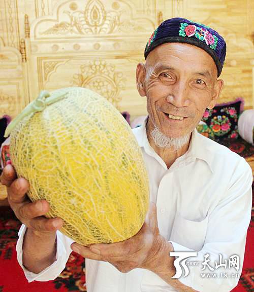 哈密瓜的原产地是哪里，哈密瓜的原产地在什么地方（让纯种哈密瓜的味道传下去）