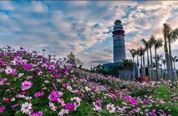 厦门的旅游攻略，厦门最上镜的20个地方（厦门的旅游攻略表）