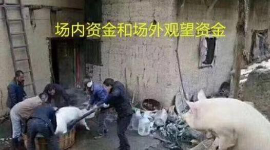 股票每天的涨跌是谁控制的，股票涨跌是谁控制的（究竟是谁在操纵着中国股市）