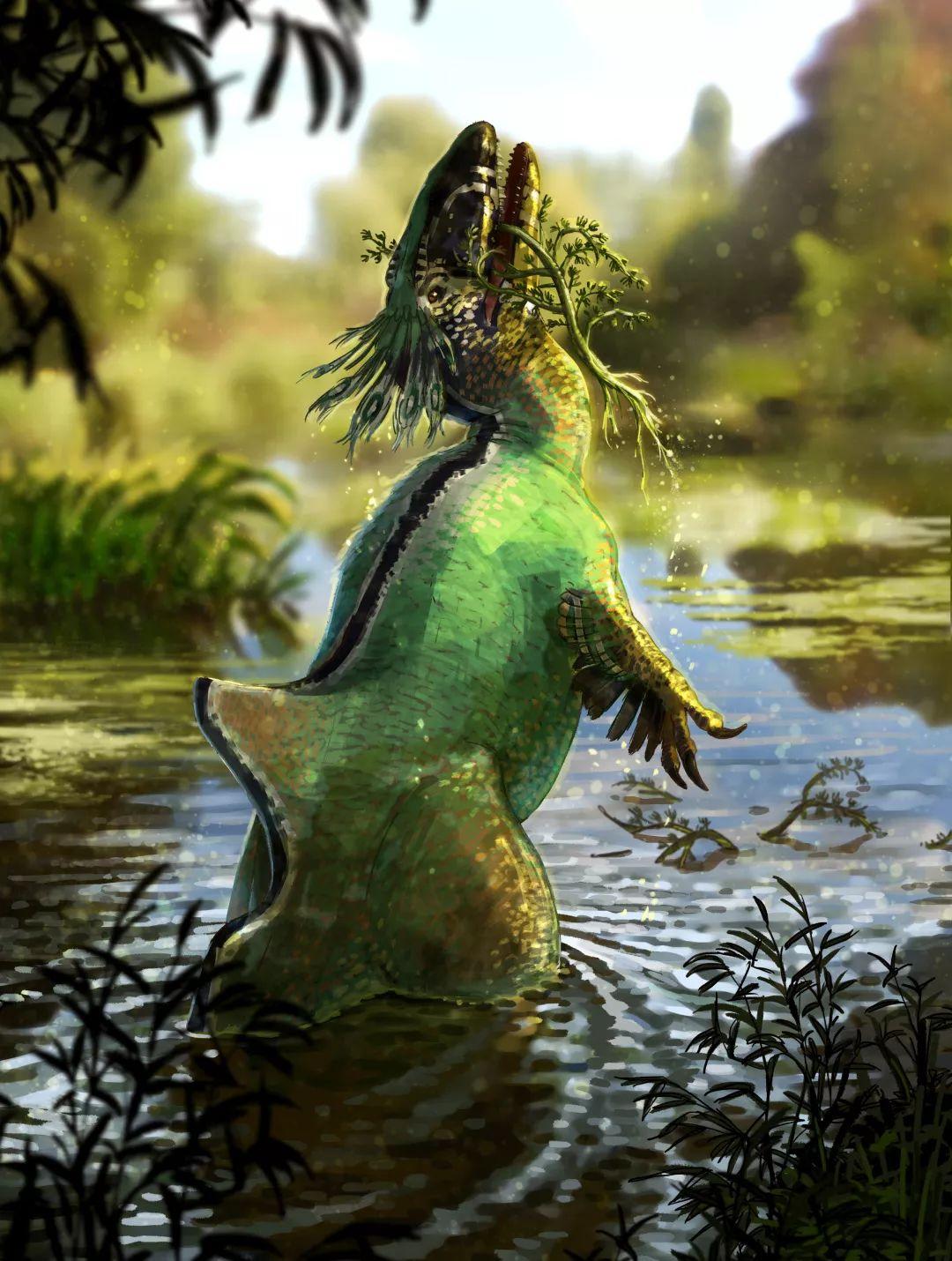 昆卡猎龙:白垩纪的驼背猎人