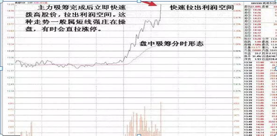 庄家只怕一种散户，最牛散户从5万到20亿（终于有A股大佬发声了）