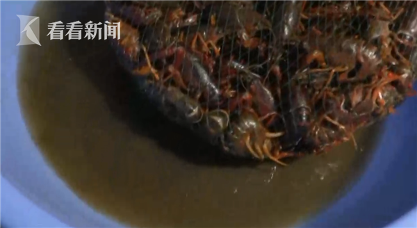 草酸的作用与用途，草酸的作用与功效（不法商贩竟用洁厕液洗龙虾）