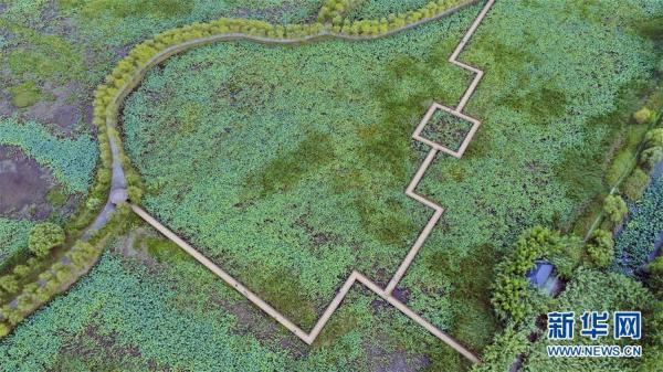 泗洪县属于哪个市，泗县属于哪个市（江苏泗洪：大美洪泽湖湿地）