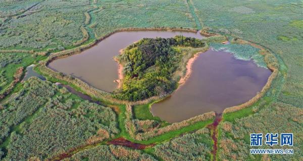 泗洪县属于哪个市，泗县属于哪个市（江苏泗洪：大美洪泽湖湿地）