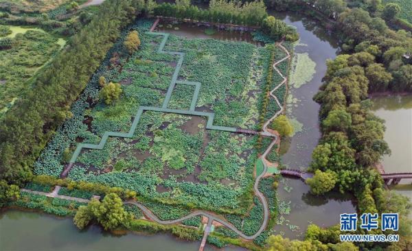 泗洪县属于哪个市，泗县属于哪个市（江苏泗洪：大美洪泽湖湿地）