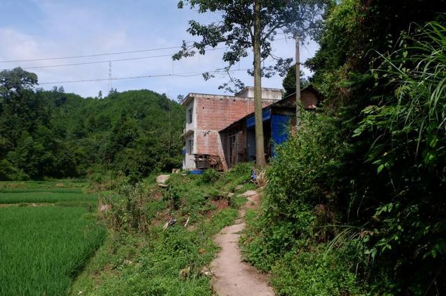 贵州大学经济学院，贵州大学经济学院有什么专业（经济学院党员实践服务队—梦芽队）