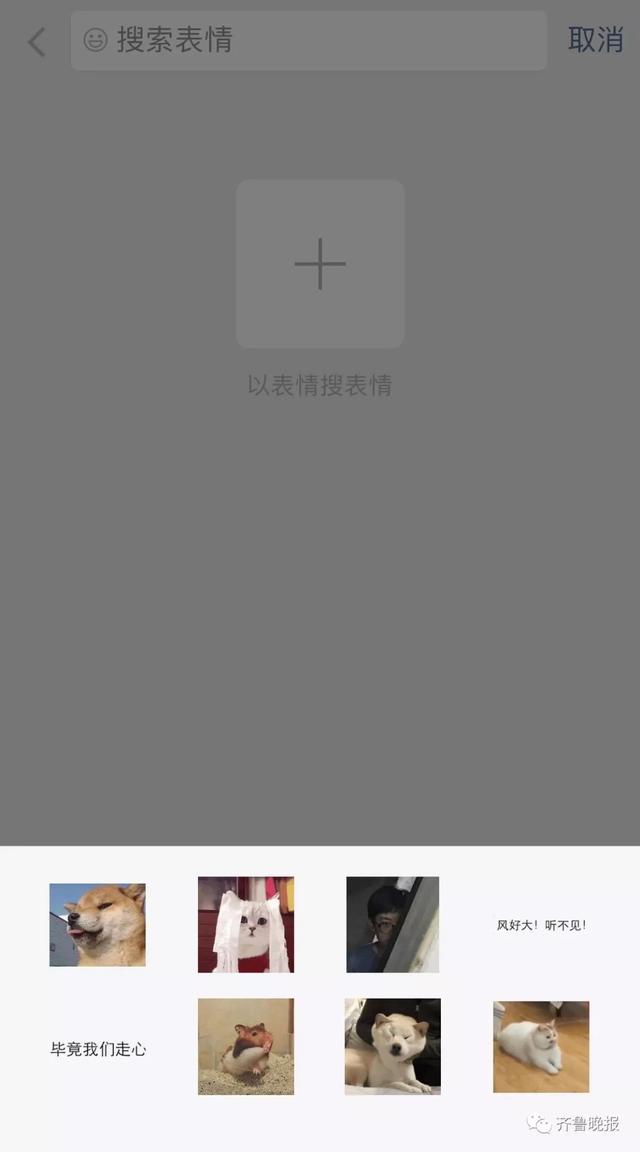微信怎么掷骰子，微信掷骰子怎么作弊（这个功能也太好玩了吧哈哈哈）