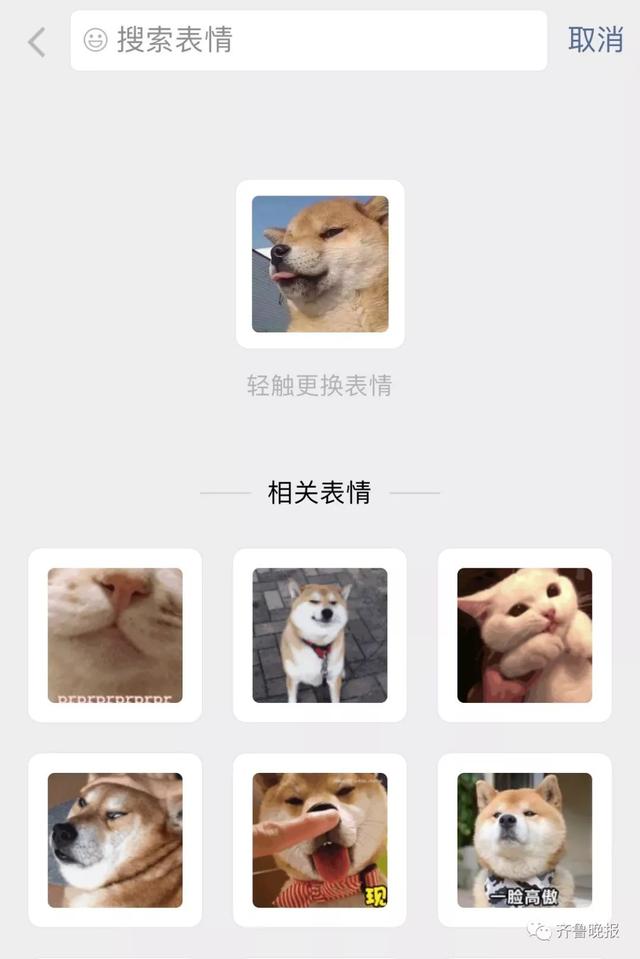 微信怎么掷骰子，微信掷骰子怎么作弊（这个功能也太好玩了吧哈哈哈）