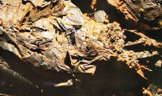 一丈二等于多少米，古代的身高一丈二或一丈八的身高（盘点刘贺墓中的汉代兵器）