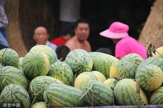 生瓜的功效与作用，生瓜的营养价值与功效（炎炎夏日来一口瓜）