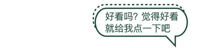 李子吃不完怎么保存，李子怎么保鲜储存（水果这么放，再也不会烂得快）