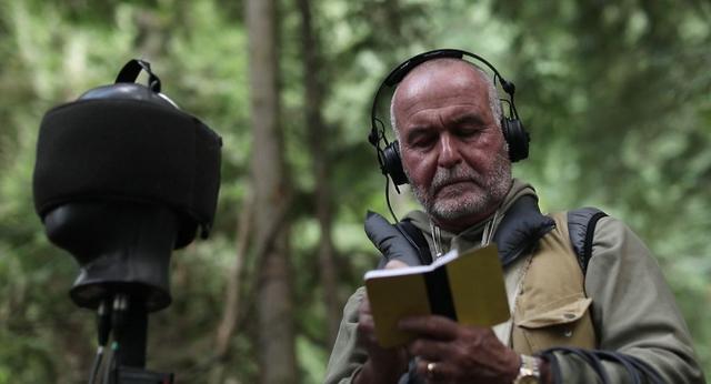 纽约为什么叫苹果城，苹果城是美国哪个城市（Apple”你知道是哪一个城市吗）