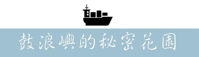 鼓浪屿旅游景点大全，福建景区鼓浪屿（这些地方你可能不知道……）