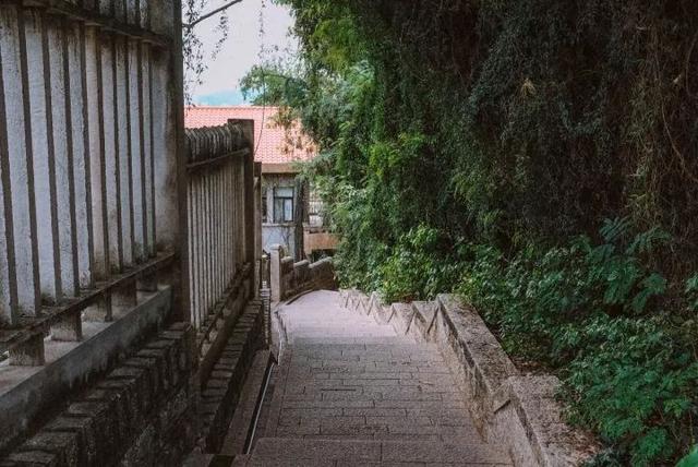 鼓浪屿旅游景点大全，福建景区鼓浪屿（这些地方你可能不知道……）