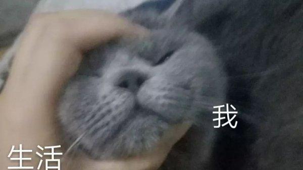 哪吒怎么读，哪吒读音（辣抓、挪扎、罗渣、LUA渣、嘞渣……你的家乡话怎么读“哪吒”）