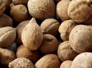 藤黄果的作用与禁忌，藤黄果不能与什么服用（昔日女神负面消息缠身险过气）