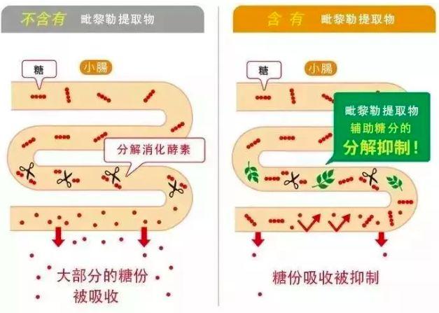 藤黄果的作用与禁忌，藤黄果不能与什么服用（昔日女神负面消息缠身险过气）