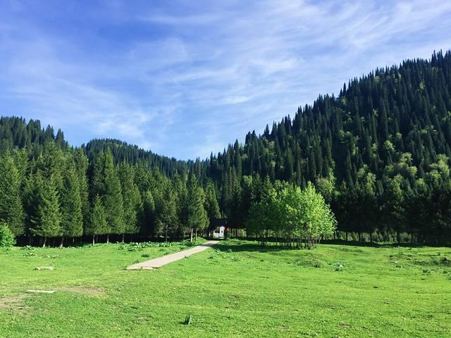 那拉提是什么意思，伊犁的那拉提是什么意思（史上最全最新那拉提攻略）