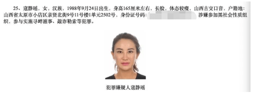 人体蒋碧薇女士，蒋碧薇女士画像（A级通缉犯的反转人生）