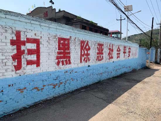 人体蒋碧薇女士，蒋碧薇女士画像（A级通缉犯的反转人生）