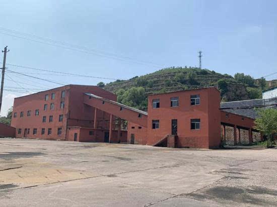 人体蒋碧薇女士，蒋碧薇女士画像（A级通缉犯的反转人生）