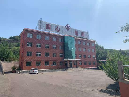 人体蒋碧薇女士，蒋碧薇女士画像（A级通缉犯的反转人生）